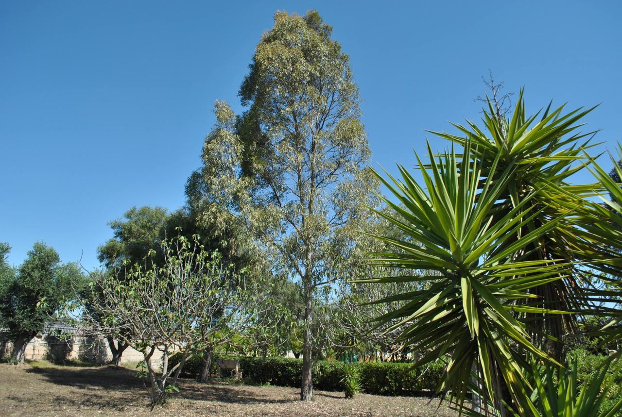 פולסנו B&B Ginevra מראה חיצוני תמונה